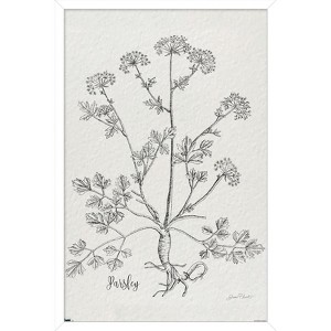 Trends International Jean Plout - Botanical Studies on Paper Parsley Framed Wall Poster Prints - 1 of 4