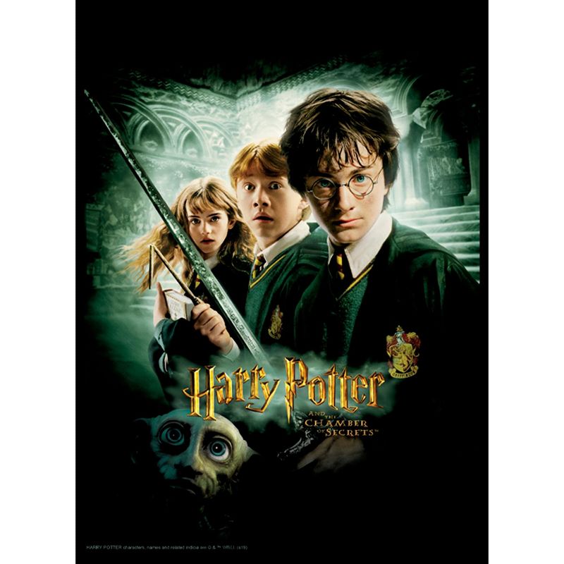 Men's Harry Potter Chamber of Secrets Poster T-Shirt, 2 of 6