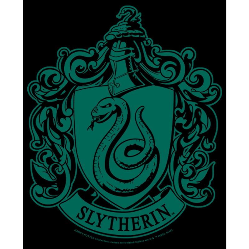 Men's Harry Potter Slytherin House Crest Sweatshirt, 2 of 5