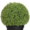 Northlight Boxwood Ball Artificial Topiary in Weighted Pot - 22" - 3 of 4