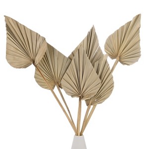 Unique Bargains Dried Natural Boho Palm Leaf Bulk - 1 of 4