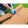 Envelor Coco Grow Mat for Microgreen Seedlings Trays - 3 of 4