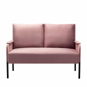 Metal Frame Loveseat Couch,Designed with Simple Lines LoveseatIt,Fits well in Apartments or Rooms with Limited Space,Pink - 1 of 4