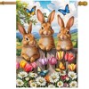 Briarwood Lane Spring House Flag 40x28 For Outdoor Bunny Greeting For Spring House Flag - 2 of 4