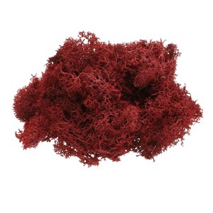 Unique Bargains Decoration Craft Artificial Plants Dried Preserved Reindeer Moss 4 OZ - 1 of 4