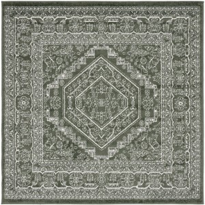 Adirondack ADR108 Non-Shedding Power Loomed Indoor Rugs - Safavieh - 1 of 4