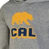 NCAA Cal Golden Bears Boys' Gray Hoodie - 3 of 3
