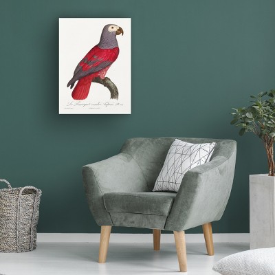 Red and Gray Parrot Vertical Canvas Art, 14x19