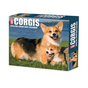 Willow Creek Press 5.5"x6.5" 2026 Corgis Box Calendar - 1 of 4