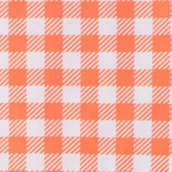 coral gingham