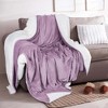 Velvet Plush Blanket with Faux Shearling Reverse - Great Bay Home - 2 of 4