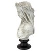 Design Toscano The Veiled Maiden Sculptural Bust - image 4 of 4