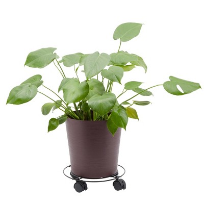 Heavy-Duty Black Metal Rolling Plant Stand with Wheels, 4-Pack