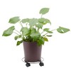 Bright Creations 4 Pack Metal Rolling Plant Stand, Planter Caddy with Wheels for Indoor and Outdoor Pots (10.6 Inches) - 4 of 4