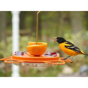 Birds Choice Oriolefest Oriole Feeder 12oz - 1 of 4