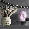 9" Wonder Botanical Planter - Hyde and EEK! Boutique™ - 2 of 3