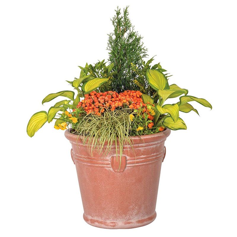 Suncast Waterton 18 Inch Resin Round Decorative Flower Pot Planter, Terracotta, 3 of 6