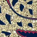 florida panthers
