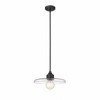 Z-Lite Paloma 1 - Light Pendant in  Matte Black - 3 of 4