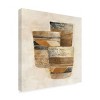 Trademark Fine Art 18" x 18" Albena Hristova 'Desert Still Life II' Unframed Wall Canvas: Modern Artwork for Home Decor - 2 of 4