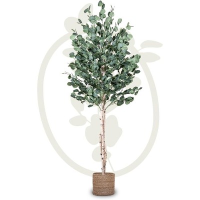 Maia 6ft Artificial Eucalyptus Tree with Natural Wood Trunk in Black Pot
