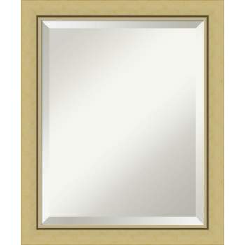 Amanti Art Landon Gold Narrow Beveled Framed Wall Mirror