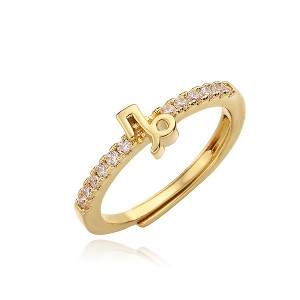HOPE LOVE SHINE Capricorn Zodiac Adjustable Ring – Gold Plated Brass with Cubic Zirconia Accents - 1 of 4