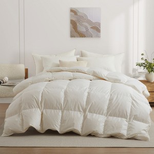 Puredown 800 Fill Power 100% Organic Cotton Down Comforter Duvet Insert - 1 of 4