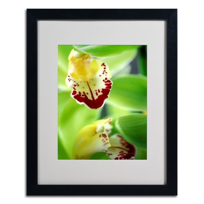 Trademark Fine Art -Kathy Yates 'Cymbidium Seafoam Emerald Orchid' Matted Framed