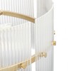 Progress Lighting Seville 6 - Light Chandelier in  Soft Gold - 3 of 3