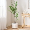 NicBex Artificial Tree in Pot  Realistic Disc Leaf Faux Plant with Bendable Branches, Calming Home Decor Floor Tree No Maintenance - 4 of 4