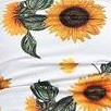 white sunflower