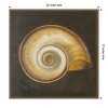 Amanti Art Seashell I by Patricia Pinto Canvas Wall Art Print Framed 22 x 22-in. - 4 of 4