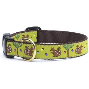 Up Country Fun-Nuts Dog Collar - Medium (12 to 18 inches) 5/8 inch Narrow - 1 of 3