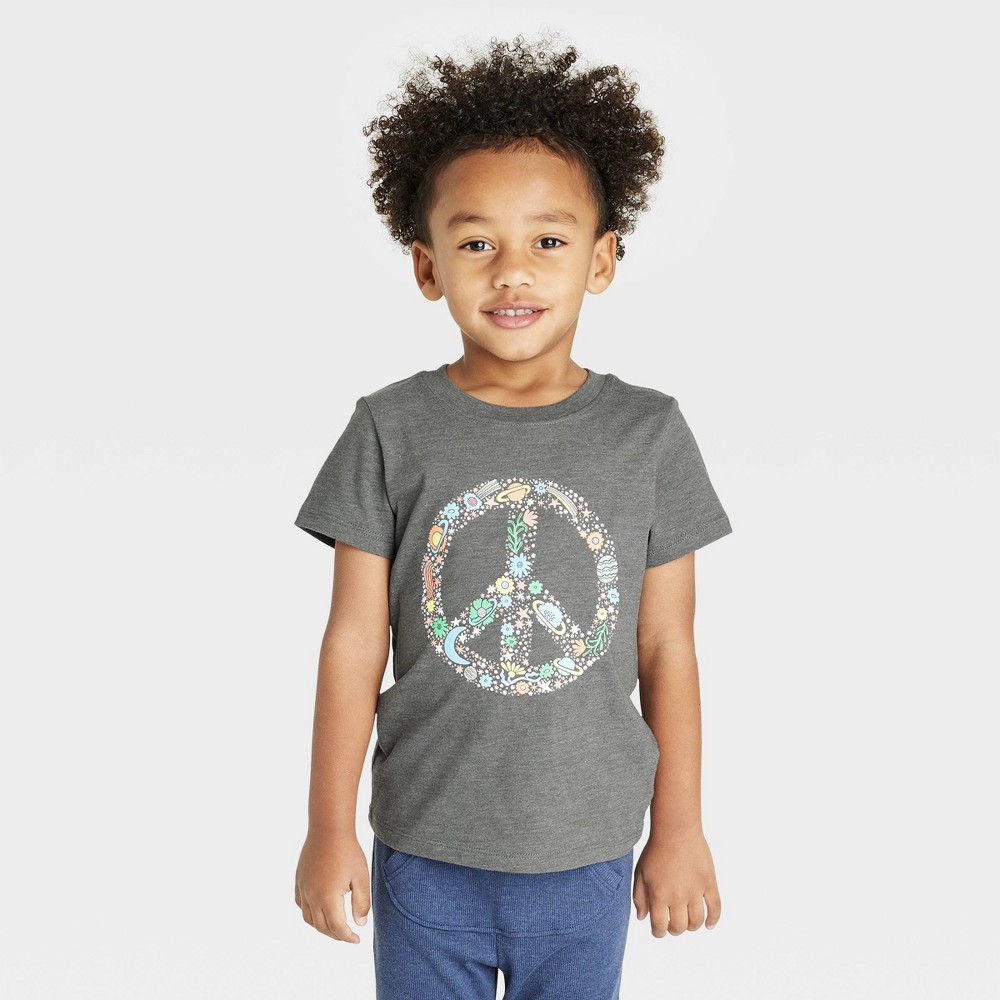 Toddler Boys' Short Sleeve Graphic T-Shirt - Cat & Jack Charcoal Gray 5T