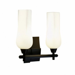 Norwell Lighting Fleur 2 - Light Sconce in  Matte Black - 1 of 1
