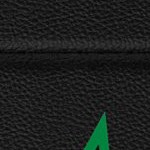 dallas stars