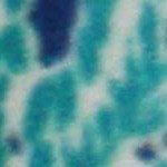 sea breeze