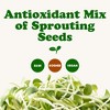 Antioxidant Mix of Sprouting Seeds - by Food To Live - 4 of 4