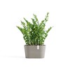 Ecopots Sofia Durable Modern Oval Indoor/Outdoor Recycled-Based Composite Flower Pot Planter w/ Water Reservoir - 4 of 4