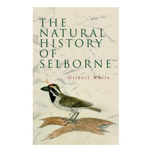 The Natural History of Selborne - by  Gilbert White & Henry Morley (Paperback) - 1 of 1