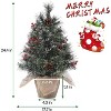 Acekool 2ft Mini Holiday Tree - Pre-Lit with Colorful Lights & Natural Decor - 4 of 4