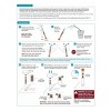 FaStep Covid-19 Antigen Pen Test - 2ct - image 4 of 4