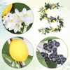 6FT Artificial Lemon Blueberry Garland, Spring Summer Fruit Garland with Greenery Leaves, Yellow Lemon Garland for Front Door Indoor Outdoor Decor - 2 of 4