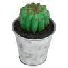 Northlight 3.5" Tropical Cactus in Tin Pot Artificial Potted Plant - Green/Silver - image 3 of 3