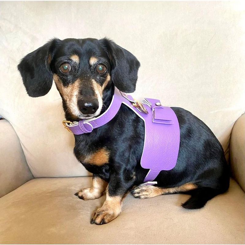 PoisePup – Luxury Pet Dog Harness – Soft Premium Italian Leather w/Crystal Harness for Small and Medium Dogs - Lavish Lavender, 3 of 4