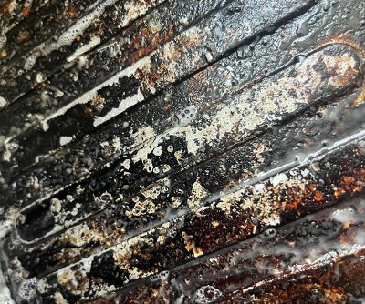 Guest review image 1 of 1, zoom in