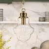 Hudson and Canal 9.13" Wide Pendant with Glass Shade - 2 of 4