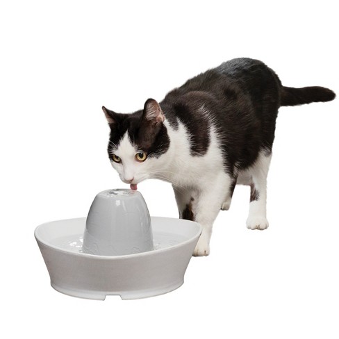 Drinkwell ceramic pet fountain best sale