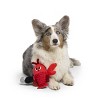 BARK Sniffin Booty Lobst-Arr Matey Dog Animal Plush Toy - 4 of 4